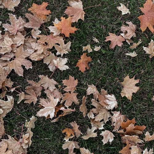 Photo #8183270