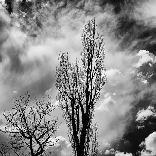 Photo #8183284