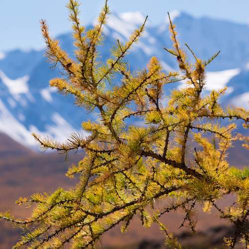 Photo #8183820
