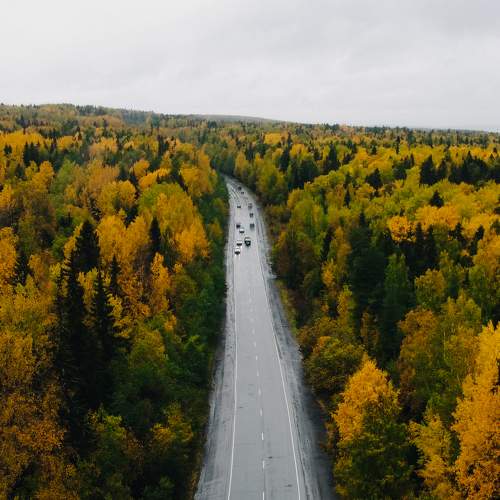 Photo #8183995