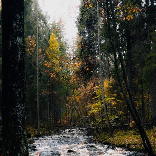 Photo #8183999