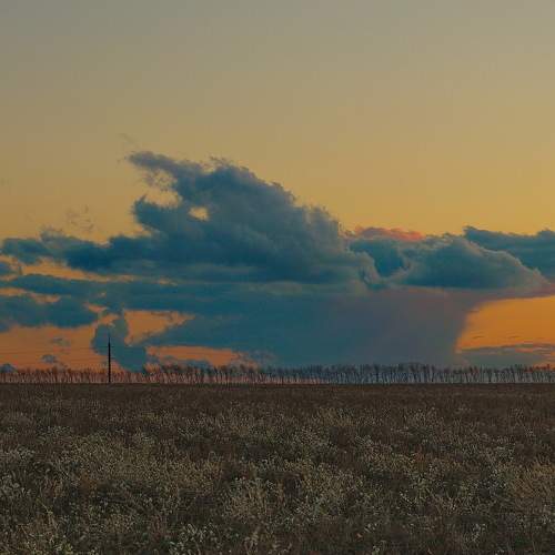 Photo #8184095