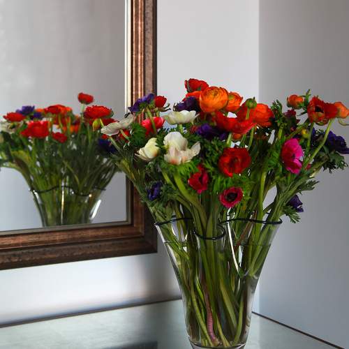 Photo #8184097