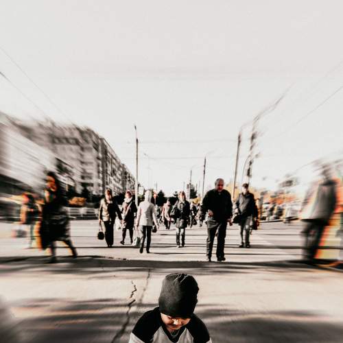 Photo #8184161