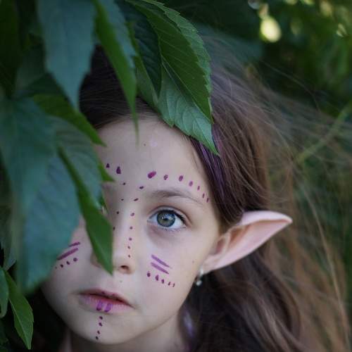 Photo #8184547