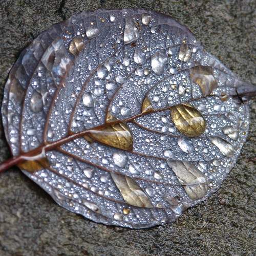 Photo #8184749