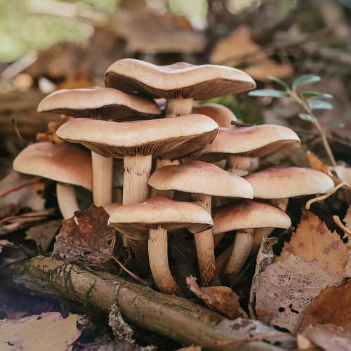 Photo #8184836