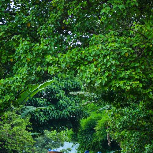 Photo #8185012