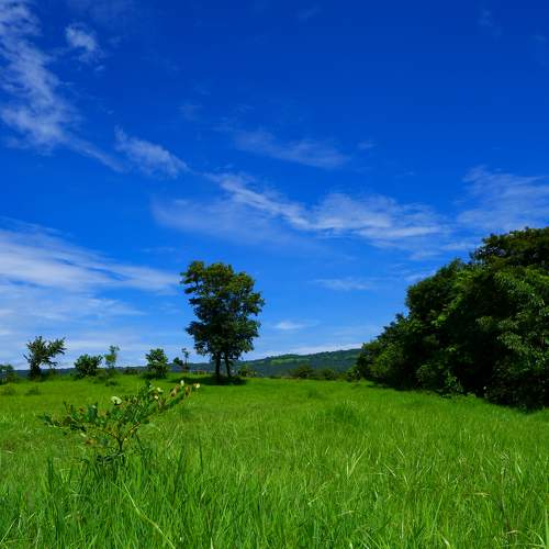Photo #8185039