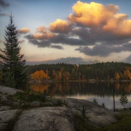 Photo #8185169