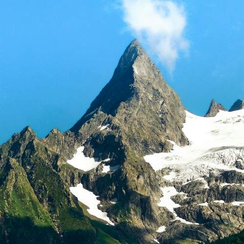Photo #8185448