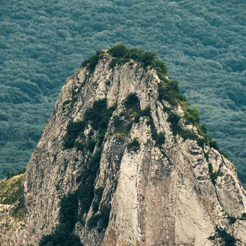 Photo #8185450