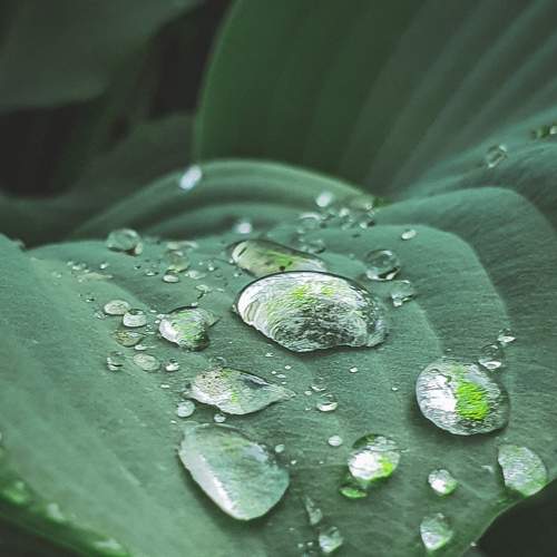 Photo #8185454