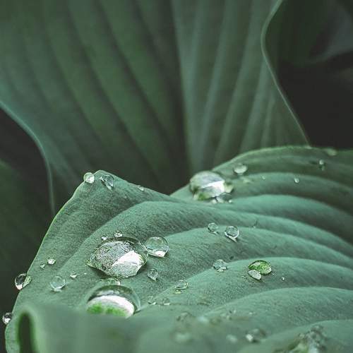 Photo #8185455