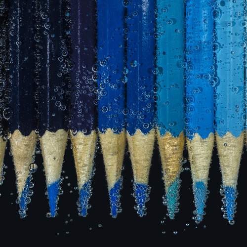 Фотография #8185483