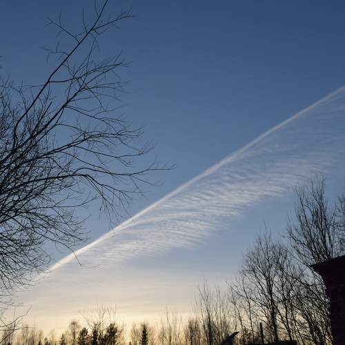 Photo #8185802