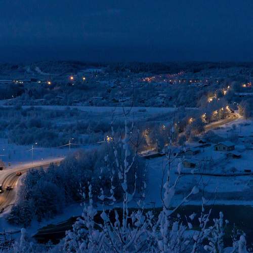 Photo #8186001