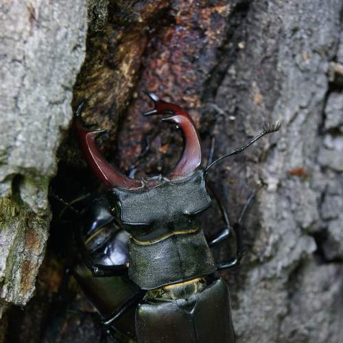 Photo #8186056