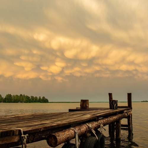 Photo #8186179