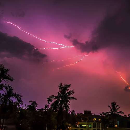 Photo #8186482