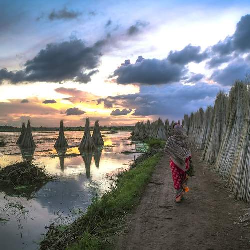 Photo #8186488
