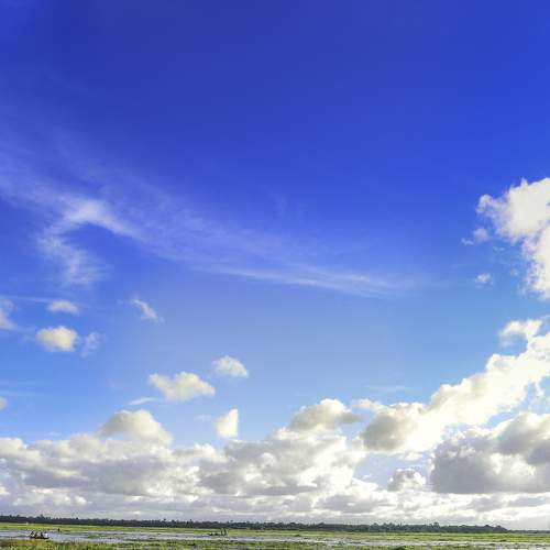 Photo #8186513