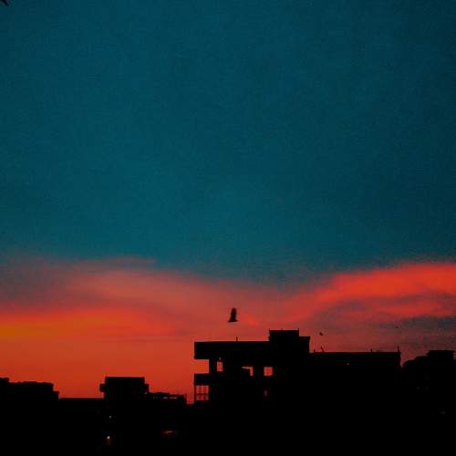 Photo #8186659