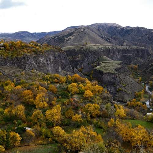 Photo #8186695