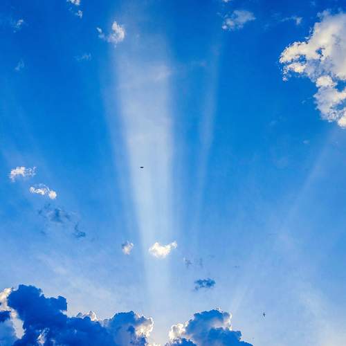 Photo #8187057