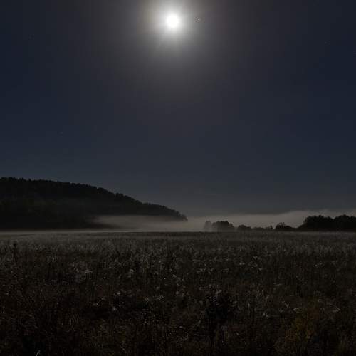 Under the blue moon