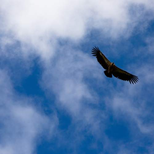 Photo #8187463