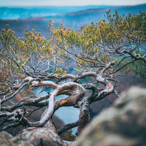Photo #8188153
