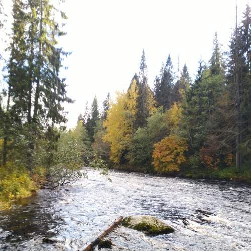 Photo #8188282