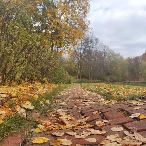 Photo #8188296