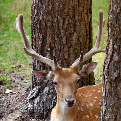 Photo #8188740
