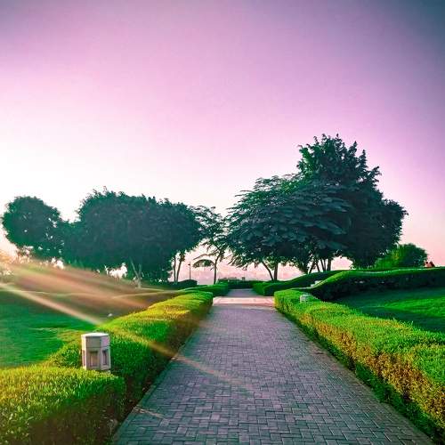 Photo #8188751