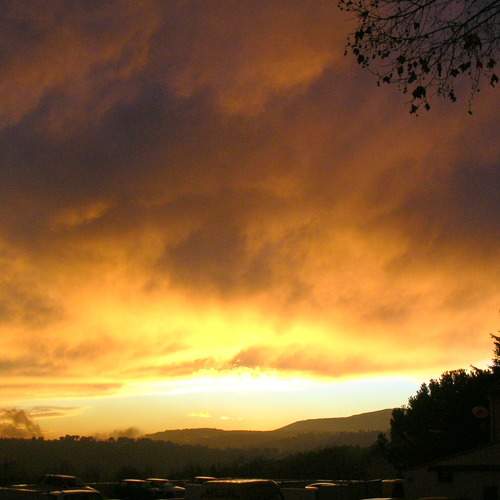 Photo #8188975