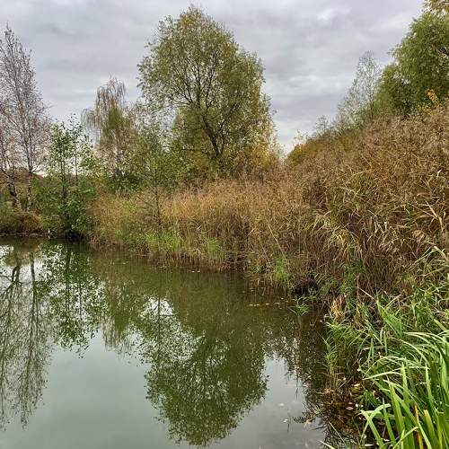 Photo #8189457