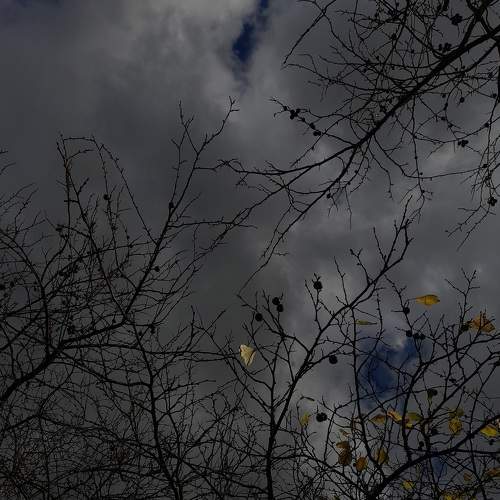 Photo #8189684