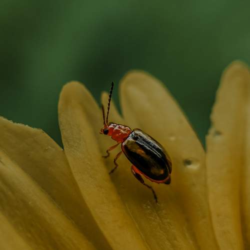Photo #8189754