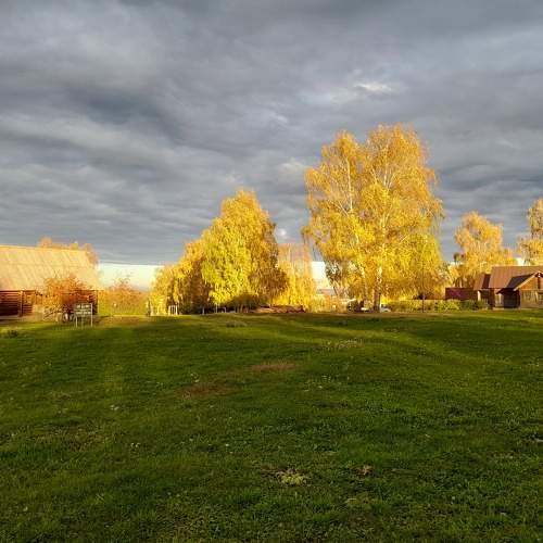 Photo #8189823