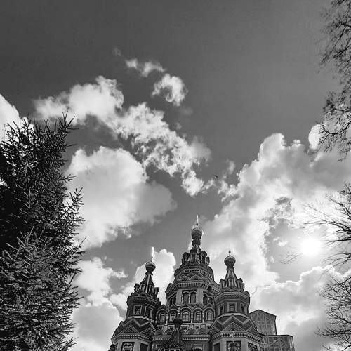Photo #8189871
