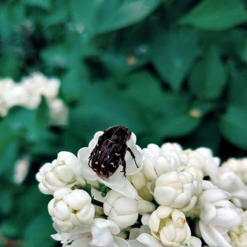 Photo #8190060