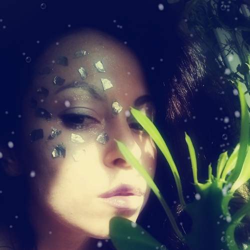 Photo #8190062