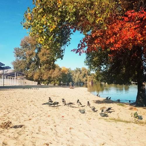 Photo #8190066