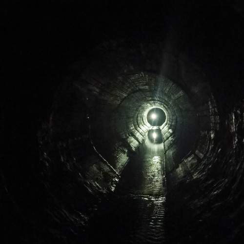 Photo #8190088