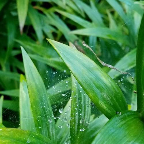 Photo #8190115