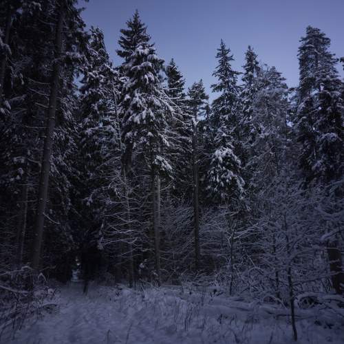 Photo #8190154