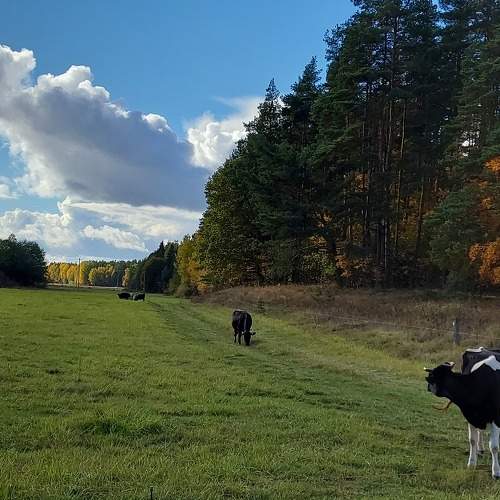 Photo #8190195