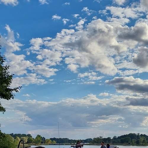 Photo #8190202